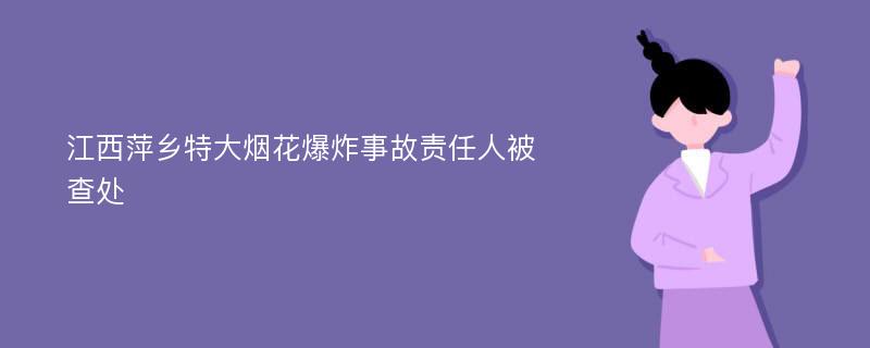 江西萍乡特大烟花爆炸事故责任人被查处