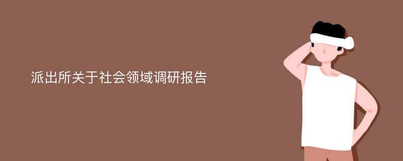 派出所关于社会领域调研报告