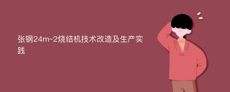 张钢24m~2烧结机技术改造及生产实践