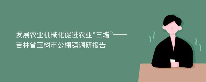 发展农业机械化促进农业“三增”——吉林省玉树市公棚镇调研报告