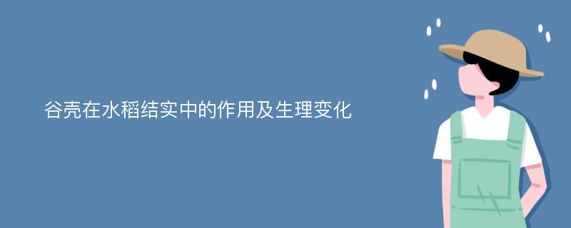 谷壳在水稻结实中的作用及生理变化