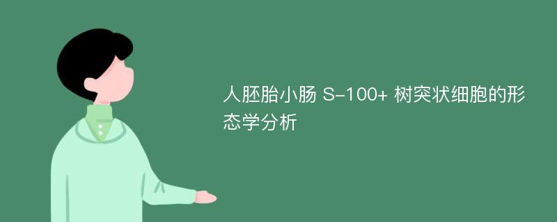 人胚胎小肠 S-100+ 树突状细胞的形态学分析