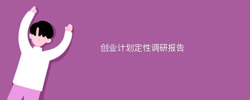 创业计划定性调研报告