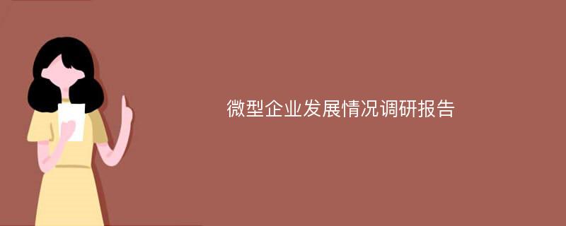 微型企业发展情况调研报告