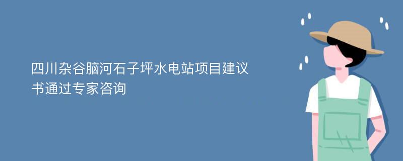 四川杂谷脑河石子坪水电站项目建议书通过专家咨询