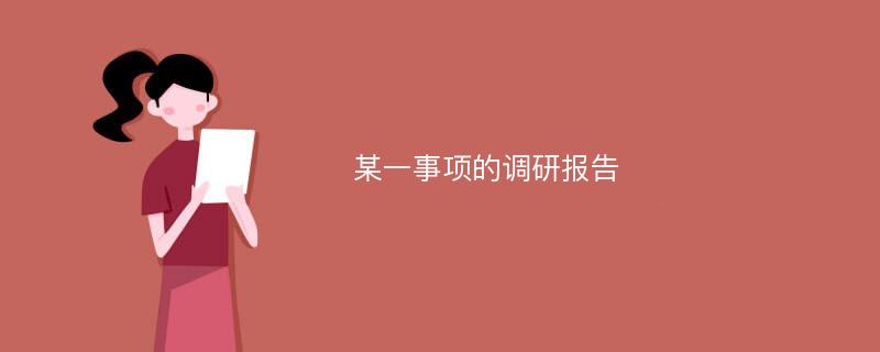 某一事项的调研报告