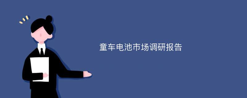 童车电池市场调研报告