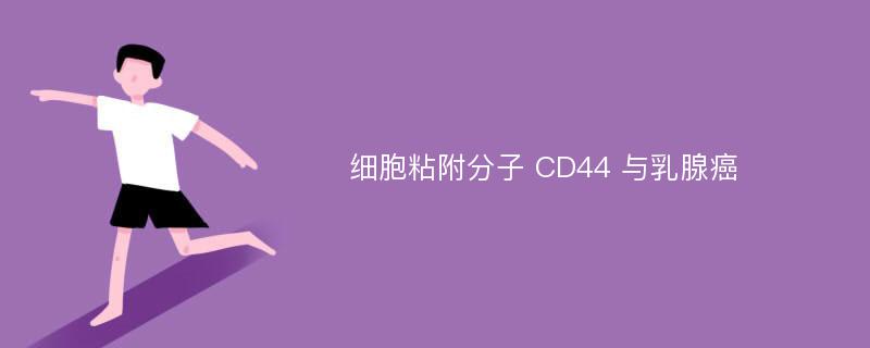 细胞粘附分子 CD44 与乳腺癌