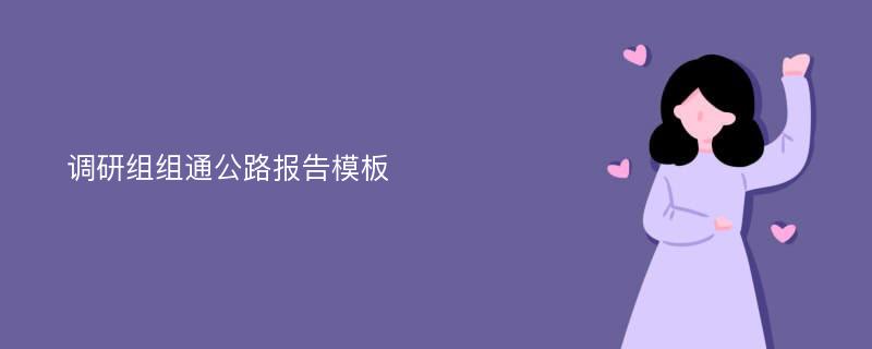 调研组组通公路报告模板